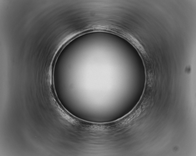 X0000101221036200806271442