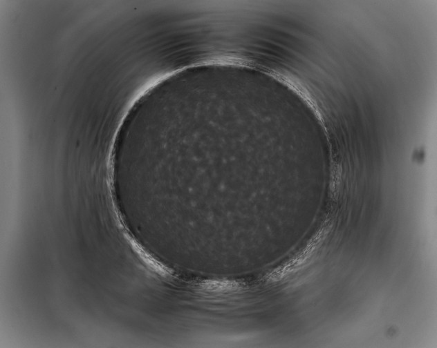 X0000101221037200806271442