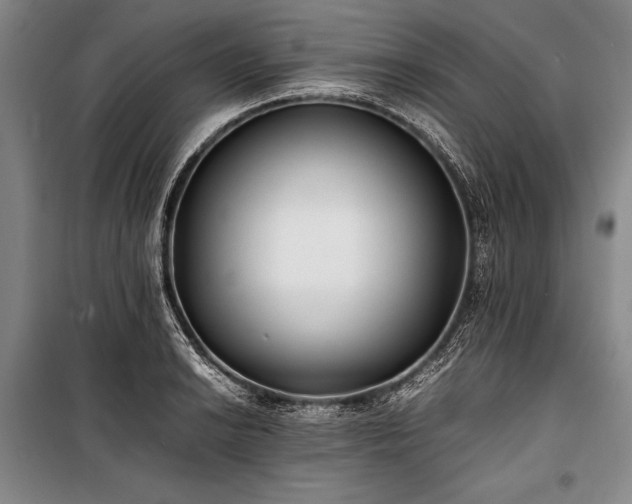 X0000101221038200806271442