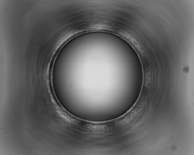 X0000101221039200806271442