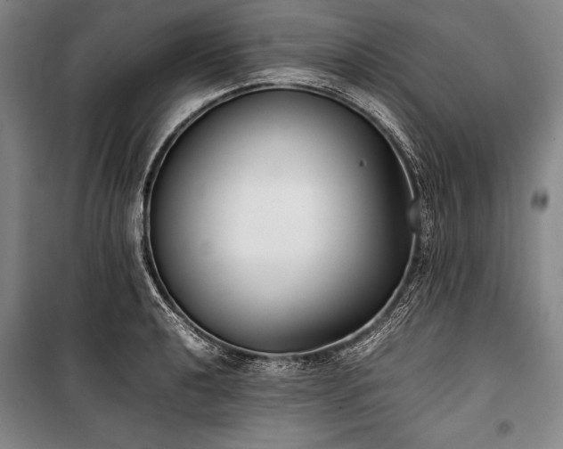 X0000101221040200806271442