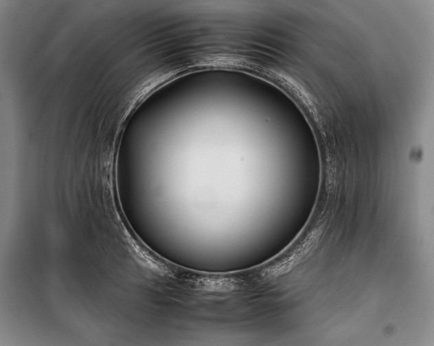 X0000101221041200806271442