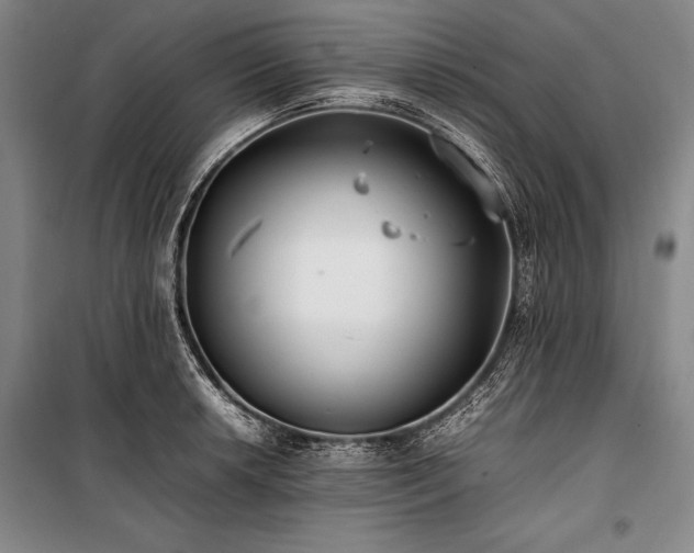 X0000101221042200806271442
