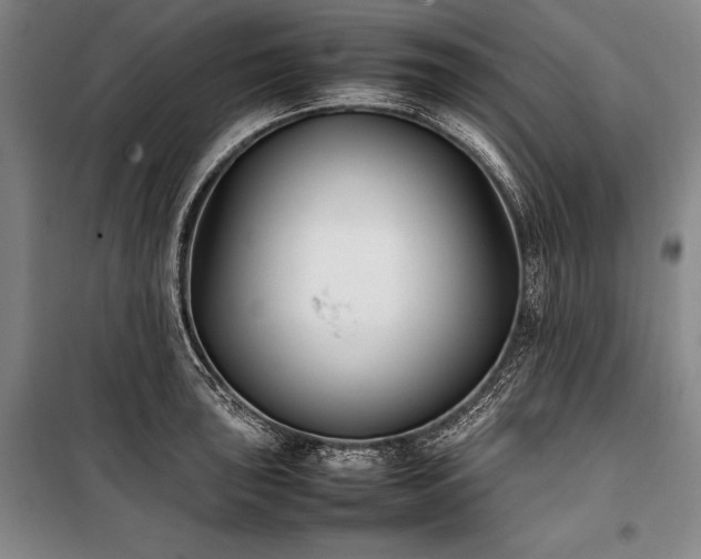 X0000101221043200806271442