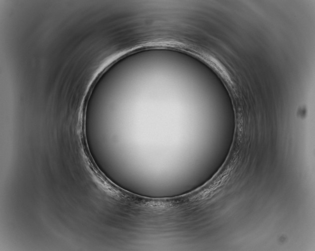X0000101221044200806271442