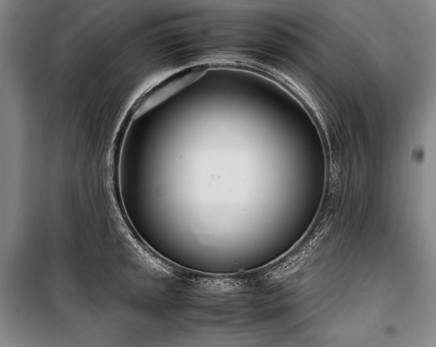 X0000101221045200806271442