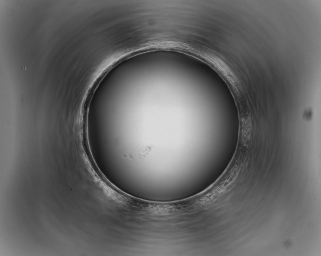 X0000101221046200806271443