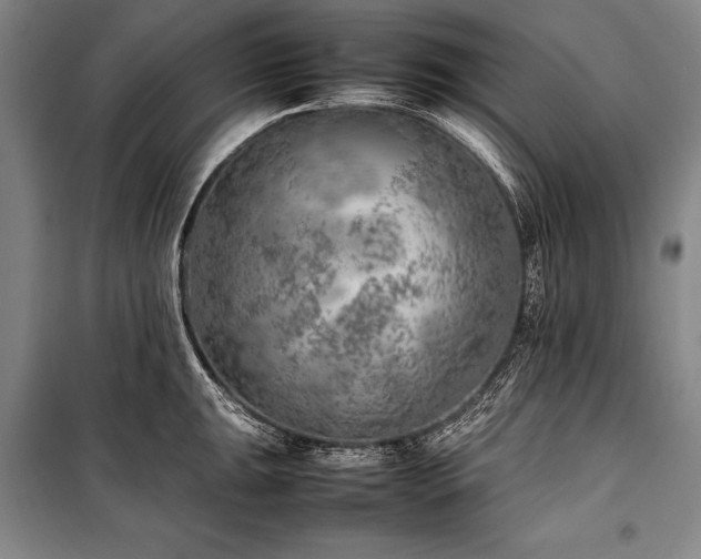 X0000101221047200806271443