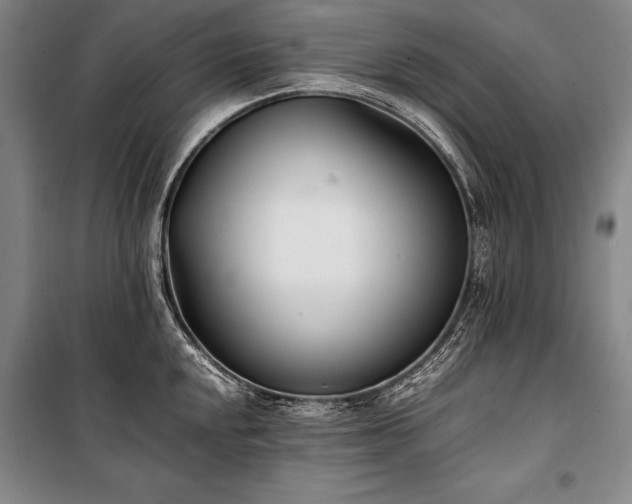 X0000101221048200806271443