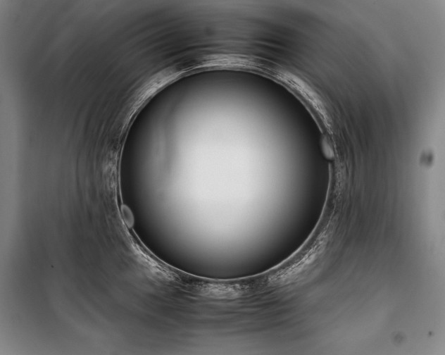 X0000101221049200806271443