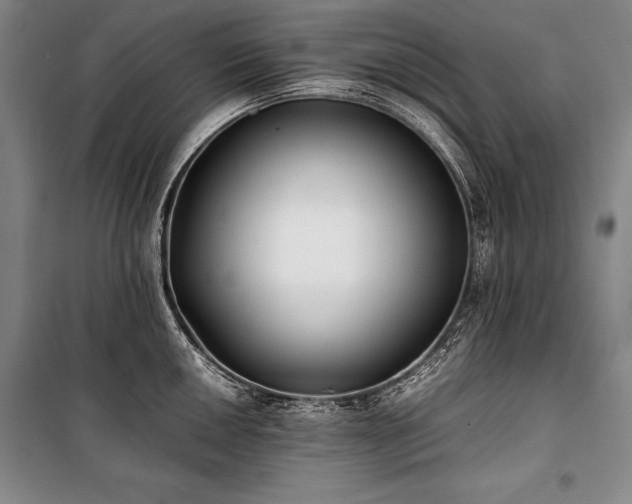 X0000101221050200806271443