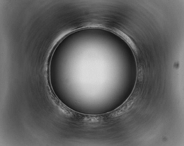X0000101221051200806271443