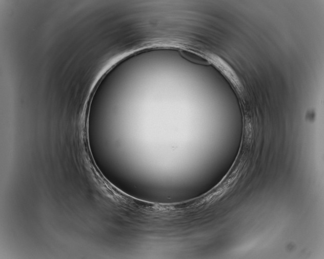 X0000101221052200806271443