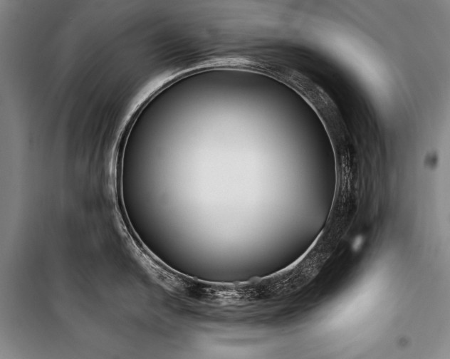 X0000101221054200806271443