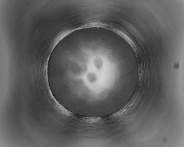 X0000101221055200806271443