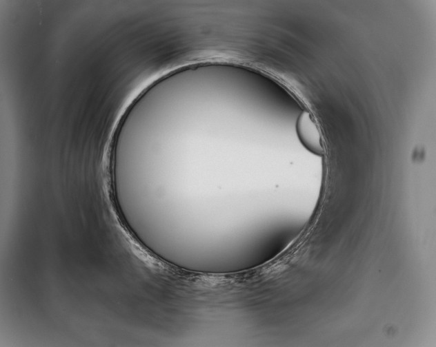 X0000101221056200806271443