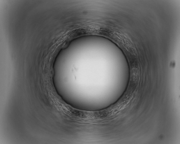 X0000101221057200806271442