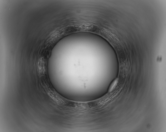 X0000101221058200806271442