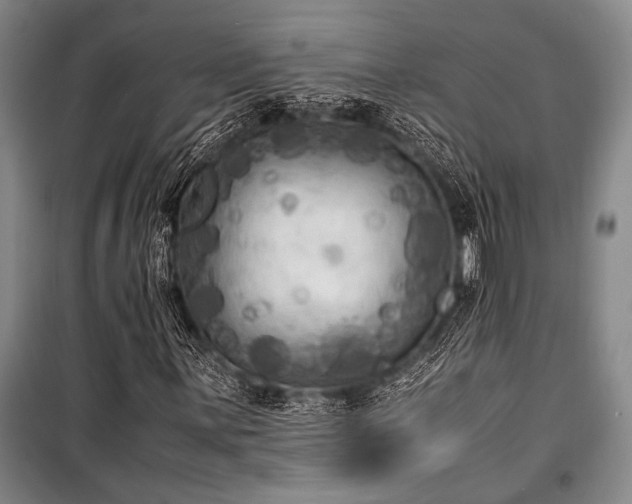 X0000101221059200806271442