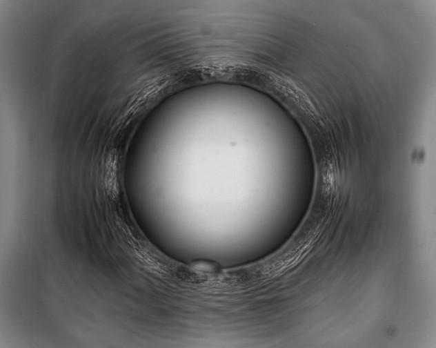 X0000101221060200806271442