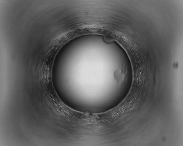 X0000101221062200806271442