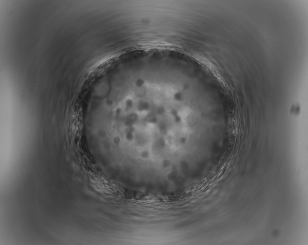 X0000101221063200806271442