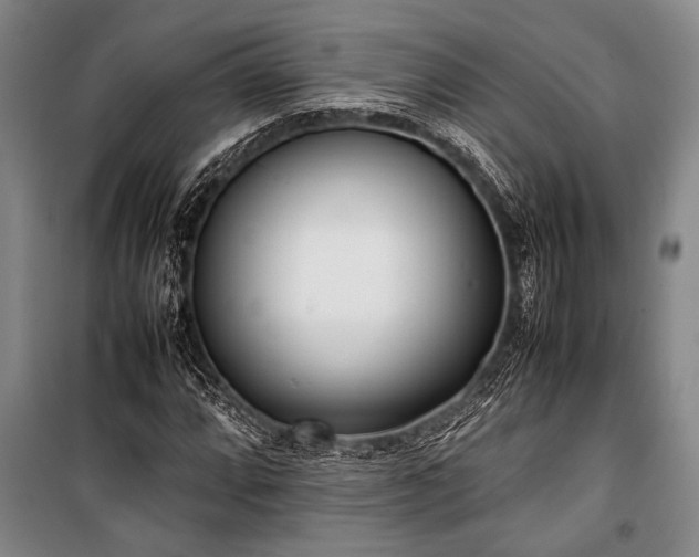 X0000101221064200806271442