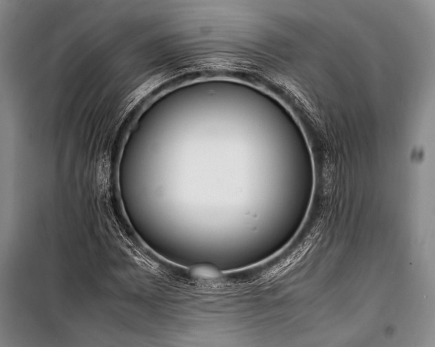 X0000101221065200806271442
