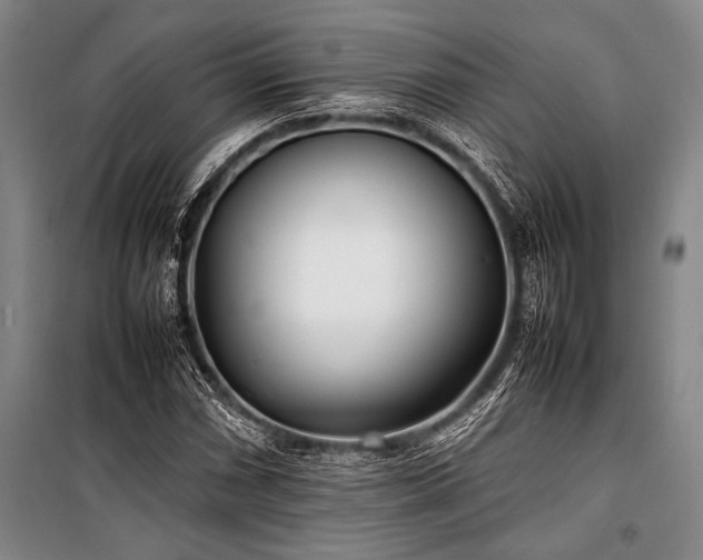 X0000101221066200806271442