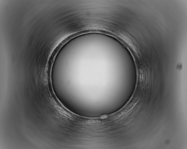 X0000101221068200806271442