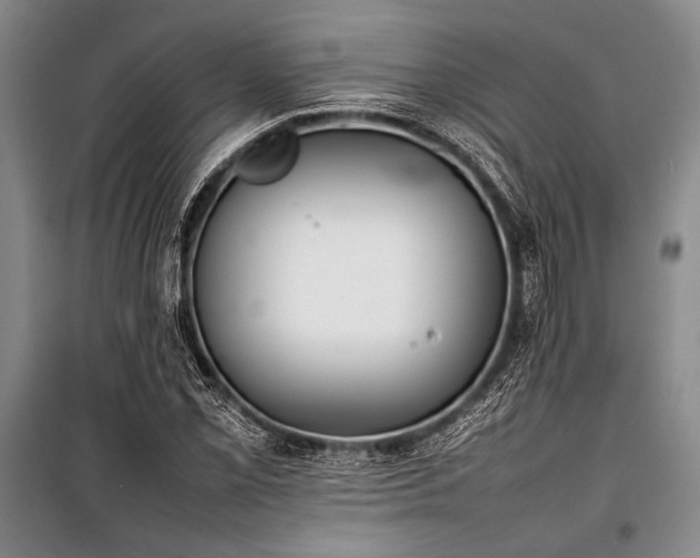 X0000101221069200806271442