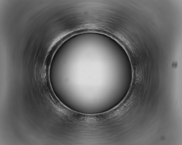 X0000101221070200806271442