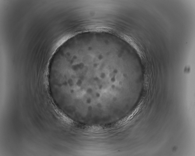 X0000101221071200806271442