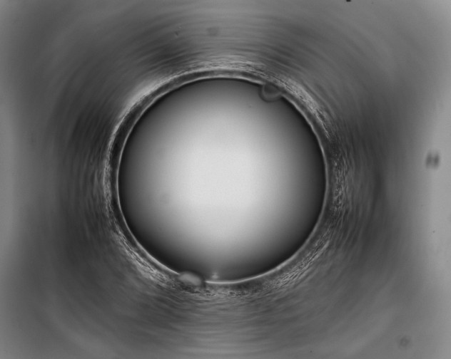 X0000101221072200806271442