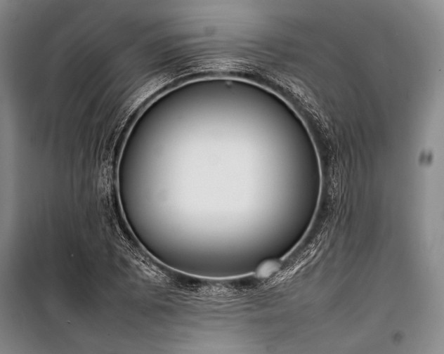 X0000101221073200806271442