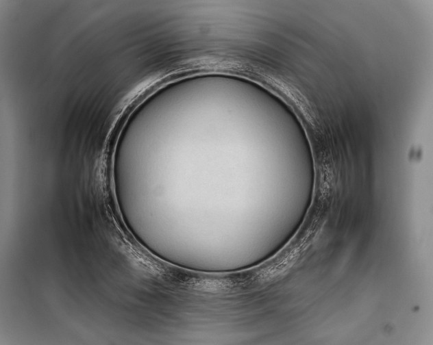 X0000101221074200806271442