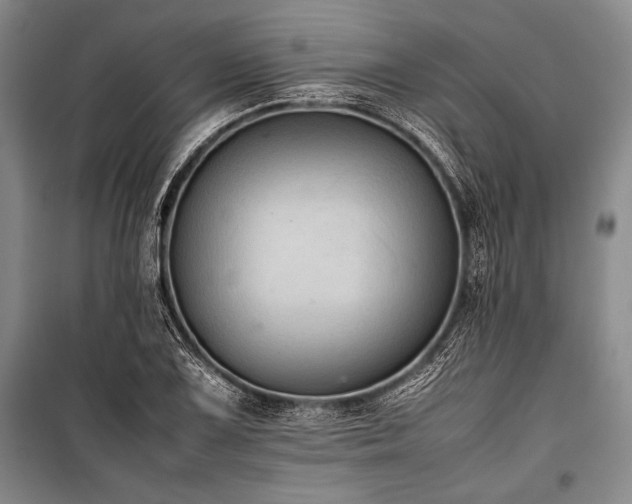 X0000101221075200806271442