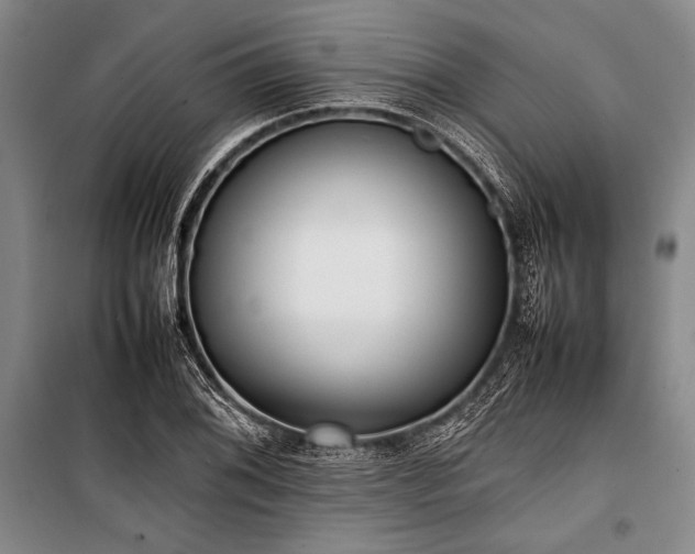 X0000101221076200806271442