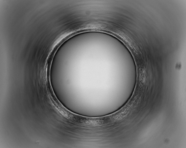 X0000101221078200806271442
