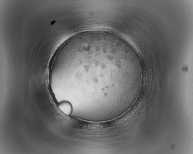 X0000101221079200806271442