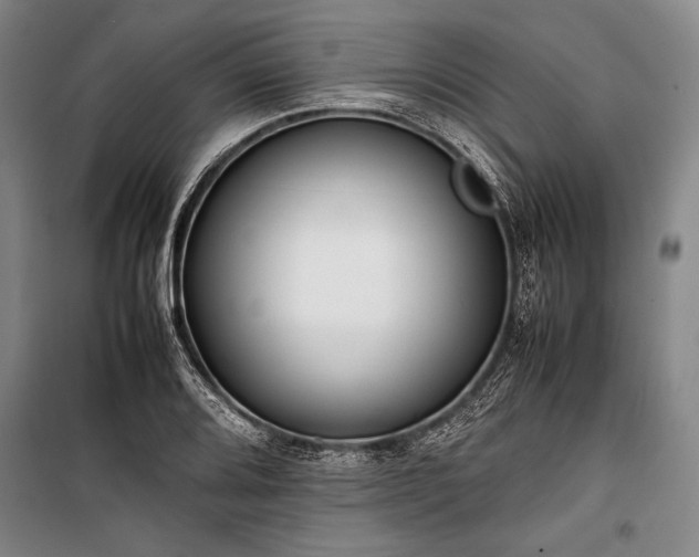X0000101221080200806271441