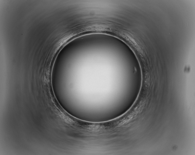X0000101221081200806271441