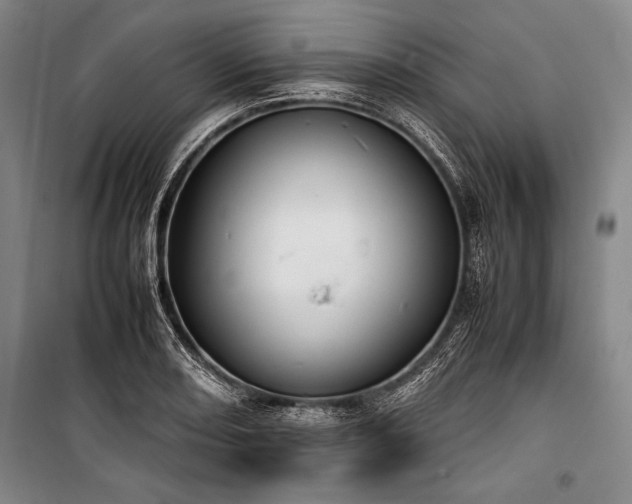X0000101221082200806271441