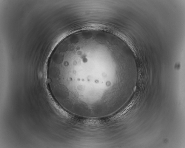 X0000101221083200806271441