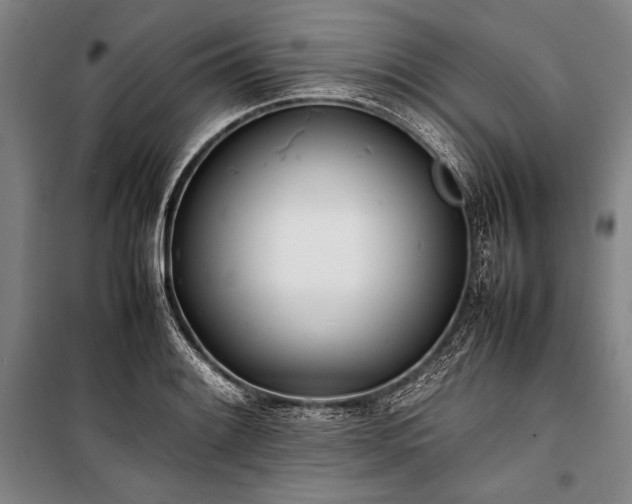 X0000101221084200806271441