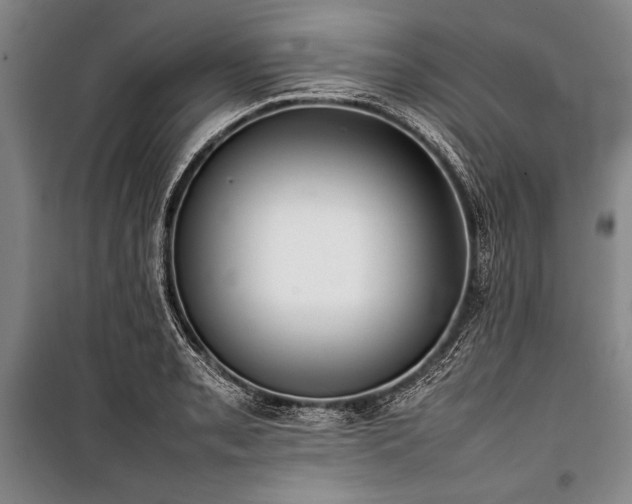 X0000101221085200806271441