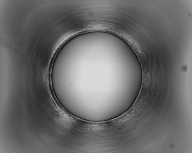 X0000101221086200806271441