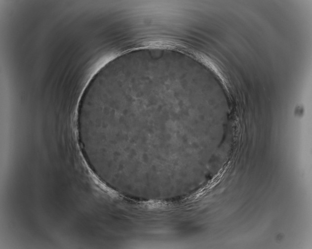 X0000101221087200806271441