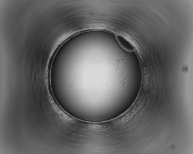X0000101221088200806271441