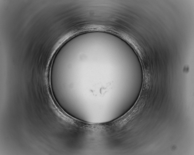 X0000101221090200806271441